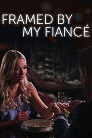 Framed By My Fiancé 2017 one on netflix