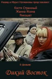 The Wild East 1993 one on netflix