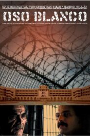 Oso Blanco 2009 one on netflix