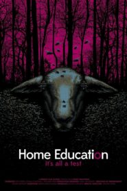 Home Education 2016 one on netflix