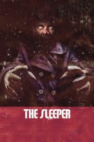 The Sleeper 2012 one on netflix