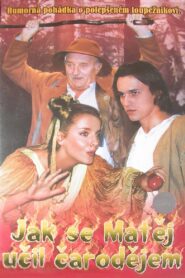 Jak se Matěj učil čarodějem 1998 one on netflix