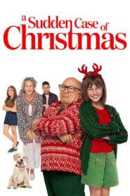 A Sudden Case of Christmas 2024 one on netflix