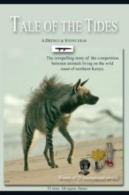 Tale of the Tides 1998 one on netflix