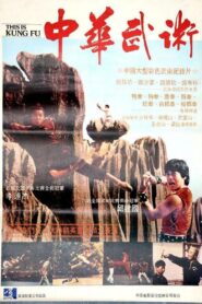 This Is Kung Fu 1983 one on netflix