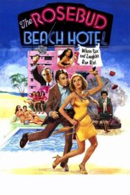 The Rosebud Beach Hotel 1984 one on netflix