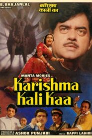Karishma Kali Kaa 1990 one on netflix