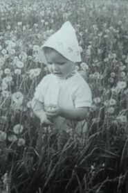 Through the Blooming Linden 1982 one on netflix