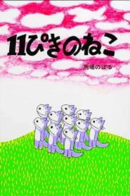 Eleven Cats 1980 one on netflix