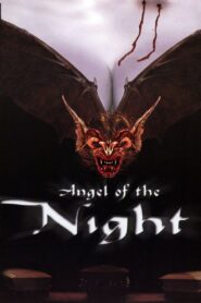 Angel of the Night 1998 one on netflix