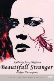 Beautiful Stranger 1993 one on netflix