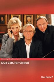 Grüß Gott, Herr Anwalt 2007 one on netflix