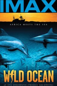 Wild Ocean 2008 one on netflix