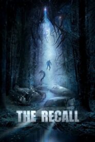 The Recall 2017 one on netflix