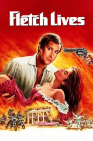 Fletch Lives 1989 one on netflix