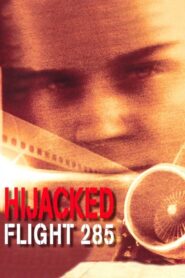 Hijacked: Flight 285 1996 one on netflix