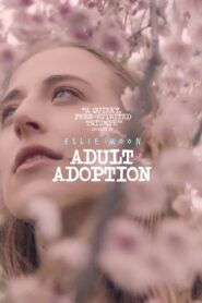 Adult Adoption 2023 one on netflix