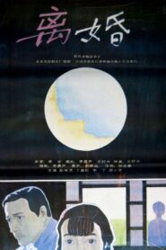 After Divorce 1992 one on netflix