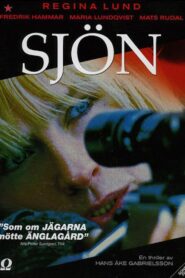 The Lake 1999 one on netflix