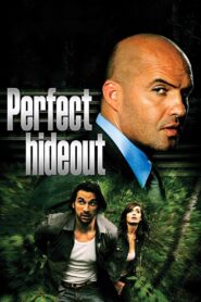 Perfect Hideout 2008 one on netflix