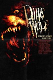 Dire Wolf 2009 one on netflix