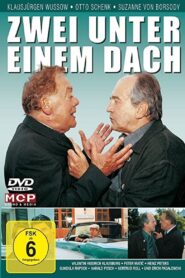 Zwei unter einem Dach 2001 one on netflix