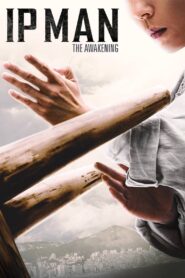 Ip Man: The Awakening 2021 one on netflix
