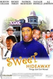 Sweet Hideaway 2003 one on netflix
