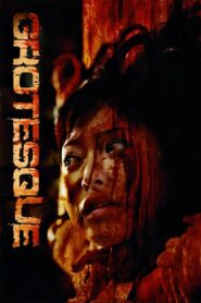 Grotesque 2009 one on netflix