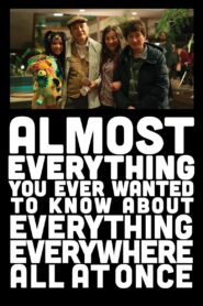 Almost Everything You Ever Wanted to Know About Everything Everywhere All at Once 2022 one on netflix