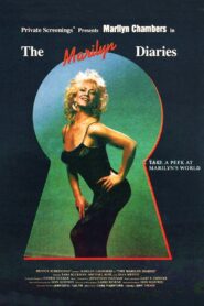 The Marilyn Diaries 1990 one on netflix