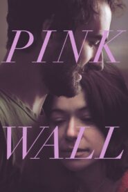 Pink Wall 2019 one on netflix