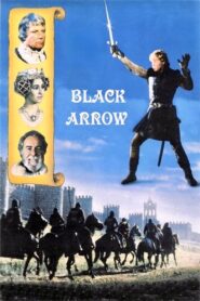 Black Arrow 1985 one on netflix