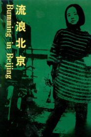 Bumming in Beijing: The Last Dreamers 1990 one on netflix