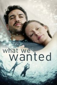 What We Wanted 2020 one on netflix
