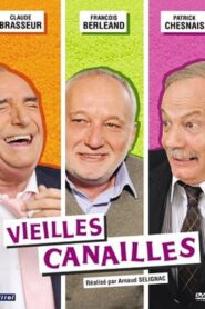 Vieilles canailles 2010 one on netflix