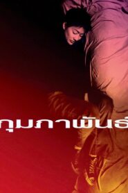 February 2003 one on netflix