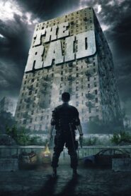 The Raid 2012 one on netflix
