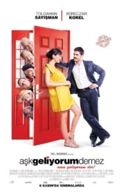 Game of Love 2009 one on netflix