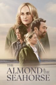The Almond and the Seahorse 2022 one on netflix