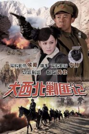 大西北剿匪记 2017 one on netflix