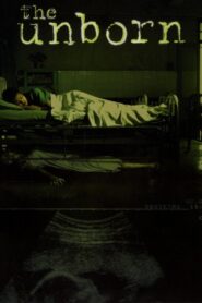 The Unborn 2003 one on netflix