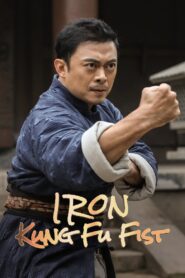 Iron Kung Fu Fist 2022 one on netflix