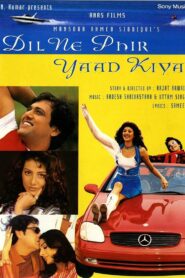 Dil Ne Phir Yaad Kiya 2001 one on netflix