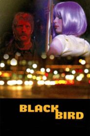 Blackbird 2007 one on netflix