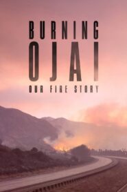 Burning Ojai: Our Fire Story 2020 one on netflix