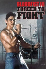 Bloodfist III: Forced to Fight 1992 one on netflix