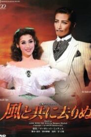 Gone with the Wind 2014 one on netflix