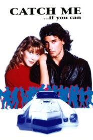 Catch Me… If You Can 1989 one on netflix