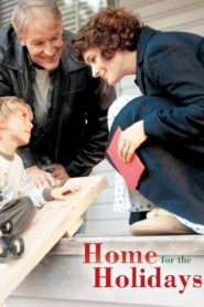Home for the Holidays 2005 one on netflix